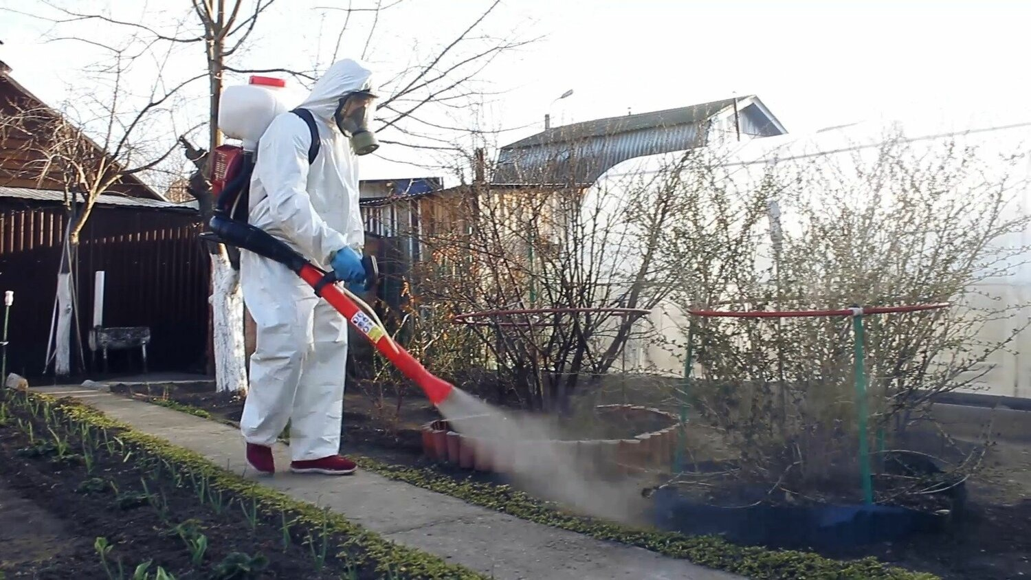 ФОТО Уничтожение муравьёв в Ильинском