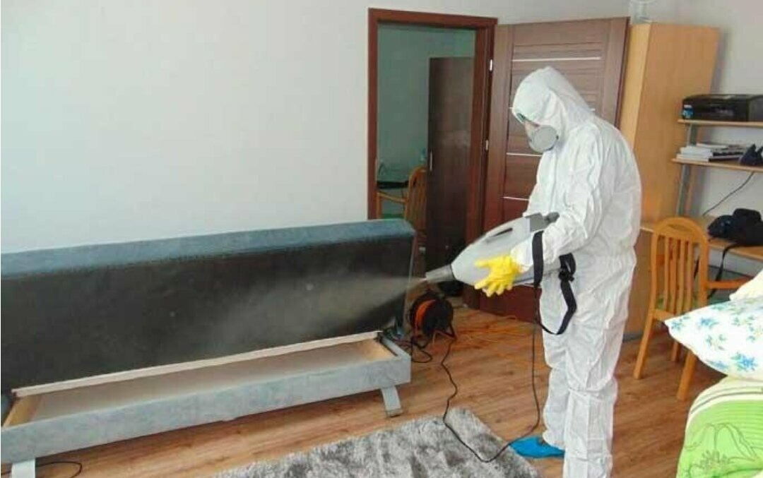 ФОТО Уничтожение блох в Ильинском