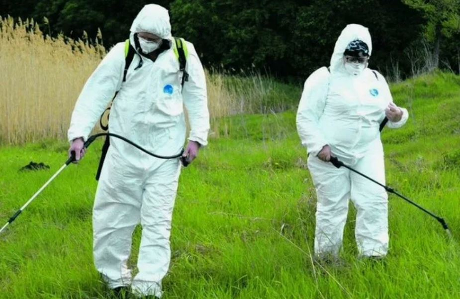 ФОТО Обработка от клещей в Ильинском