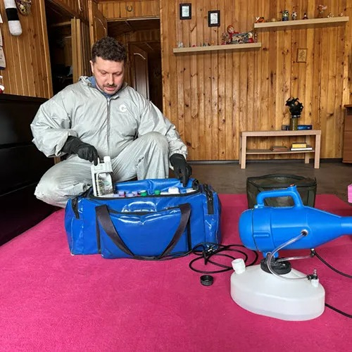 ФОТО Дератизация в Ильинском