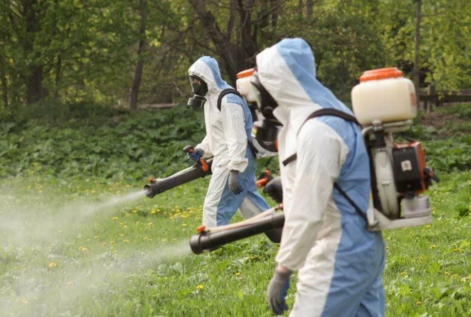 ФОТО Что такое дезинсекция в Ильинском? | подробно