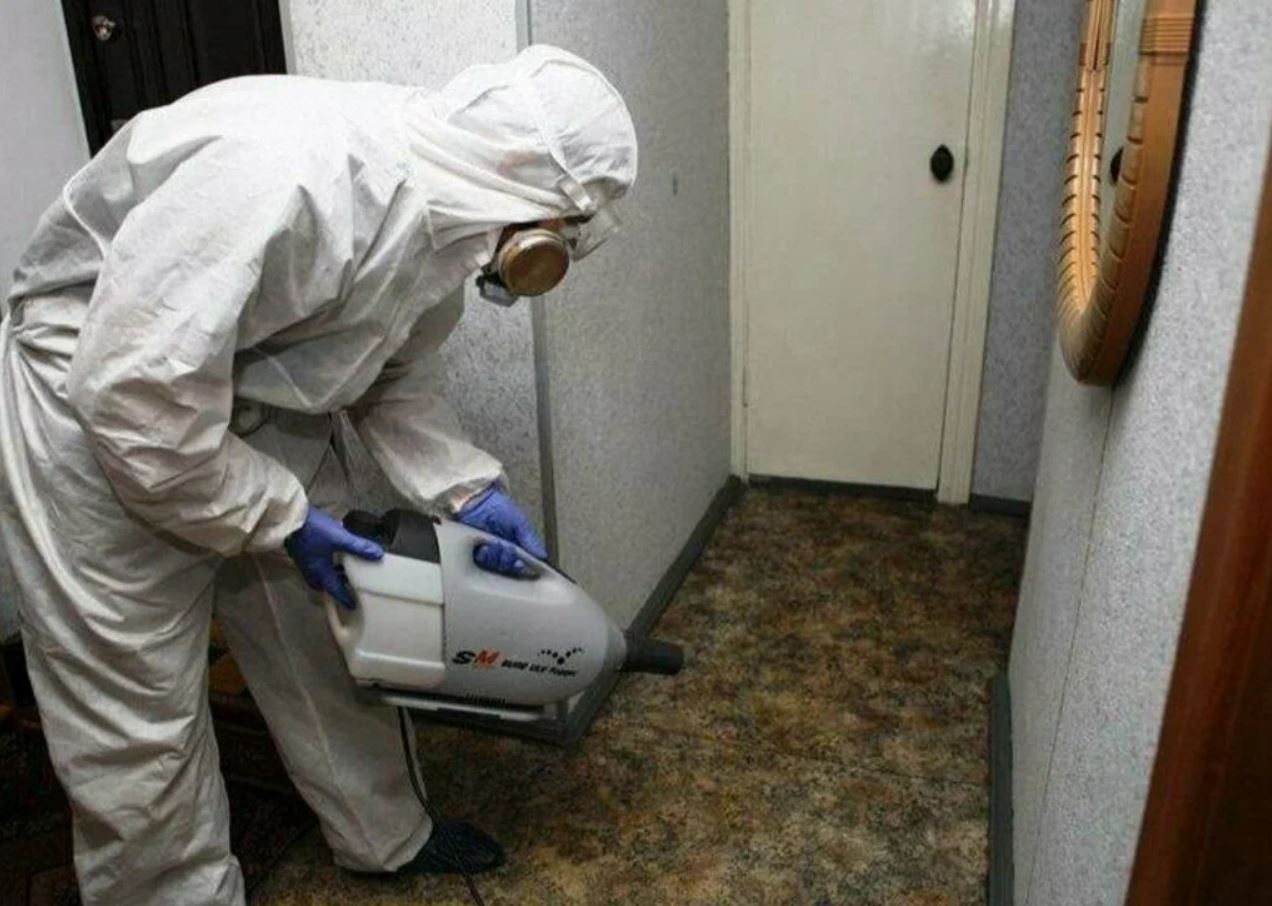 ФОТО Какие методы обработки для дезинсекции существуют в Ильинском? | подробно