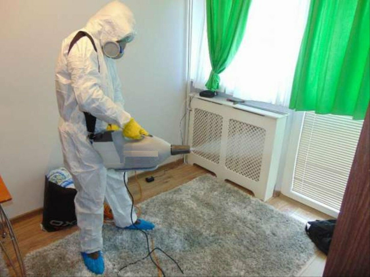 ФОТО Сколько времени занимает обработка при дезинсекции в Ильинском? | подробно