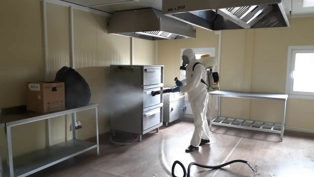 ФОТО Можно ли провести дезинсекцию самостоятельно и какие существуют риски в Ильинском? | подробно