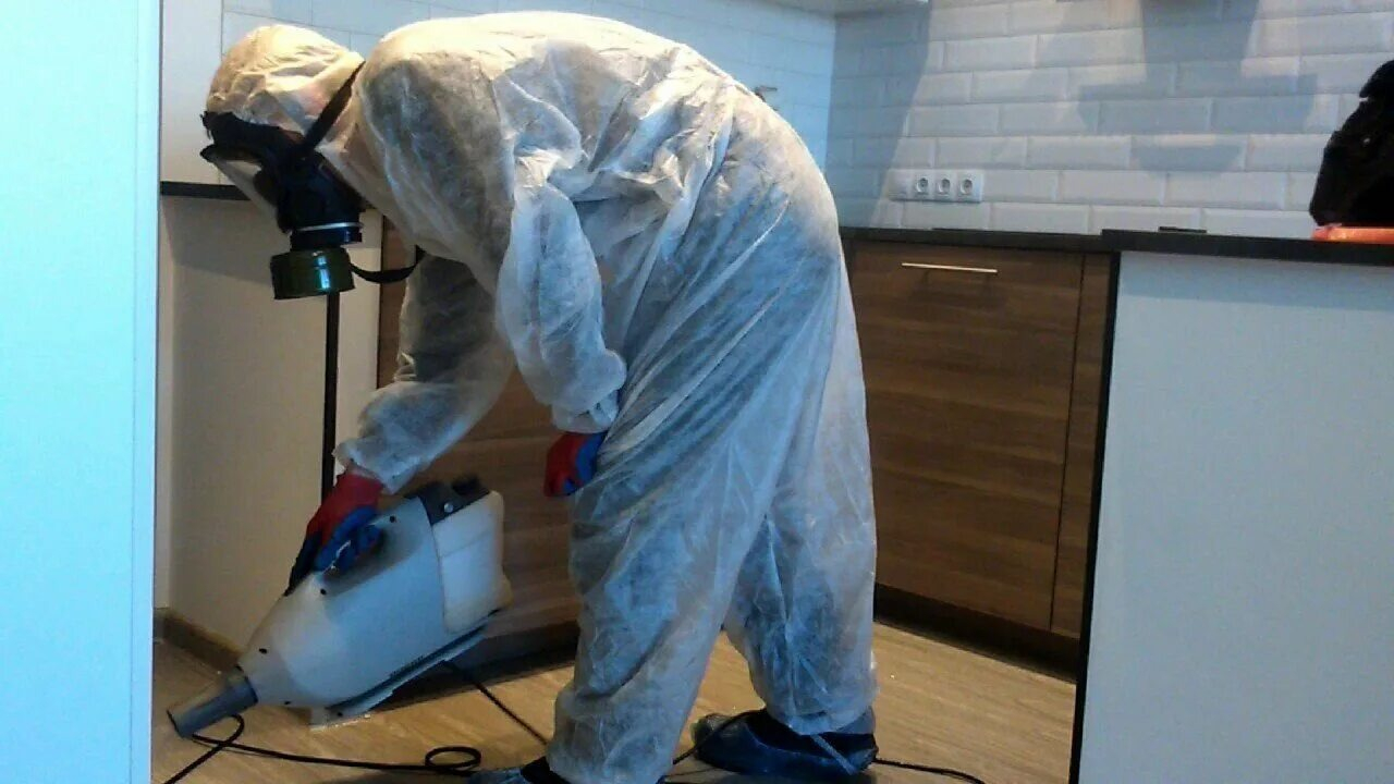 ФОТО Как подготовить домашних животных к обработке от насекомых в Ильинском? | подробно