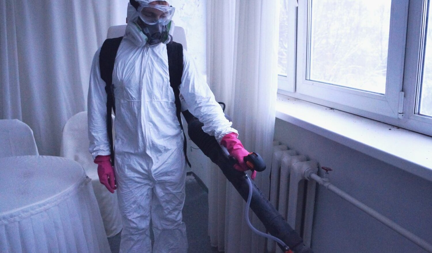 ФОТО Нужно ли выносить растения при дезинсекции в Ильинском? | подробно