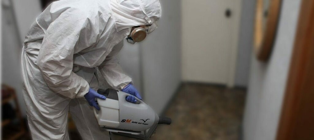 ФОТО Остаются ли следы после обработки квартиры от насекомых в Ильинском? | подробно