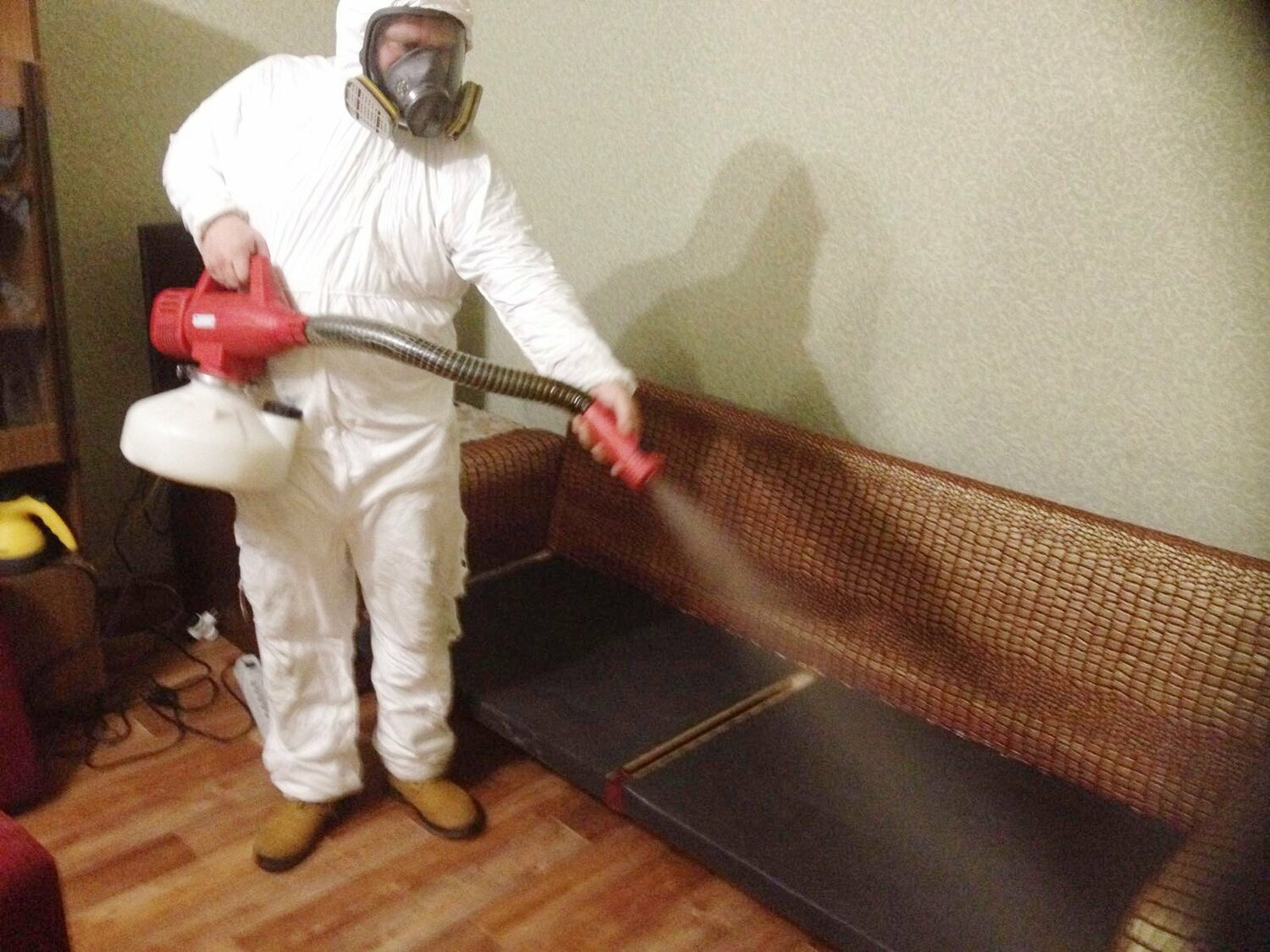 ФОТО Когда можно вернуться в помещение после дезинсекции в Ильинском? | подробно